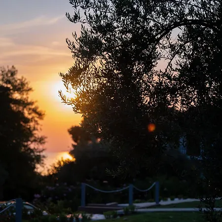 Akti Elia Chalkidiki With Private Pools *