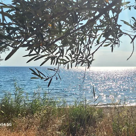 Akti Elia Chalkidiki With Private Pools Никити