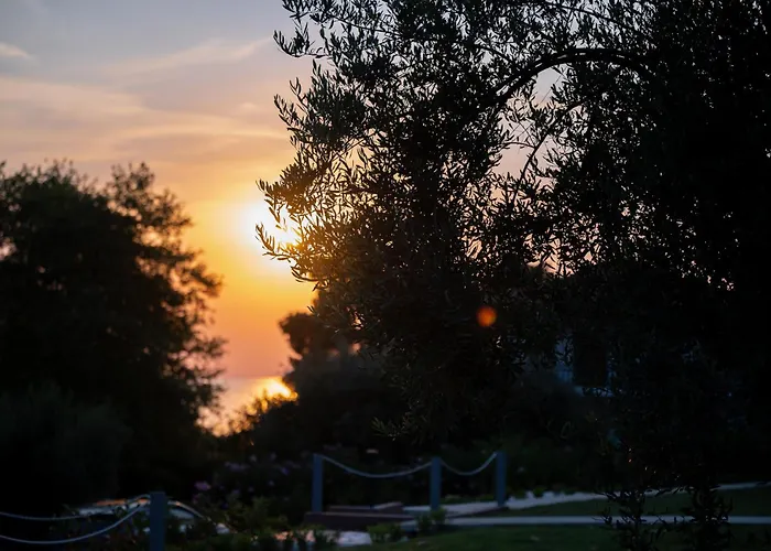 Akti Elia Chalkidiki With Private Pools *