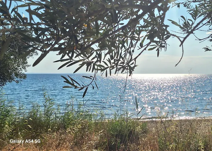 Akti Elia Chalkidiki With Private Pools ניקיטי